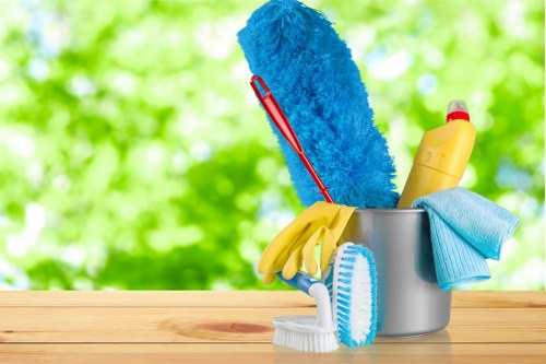 Professional house cleaning service for EC2 apartments and homes
