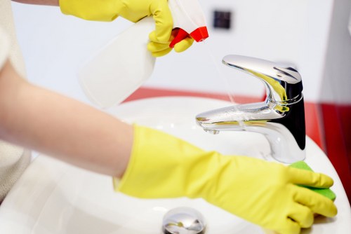 Deep cleaning preparation and detailed surface cleaning in EC2