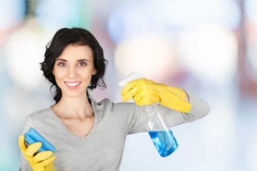 Professional rug cleaning service for EC2 homes and apartments