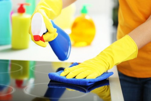 Local cleaning team working in an EC2 apartment