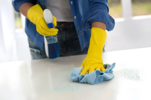 Local EC2 window cleaning service for hard-to-reach windows and glazing